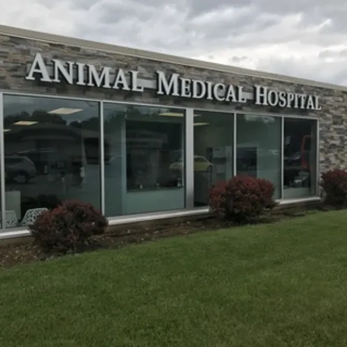 Animal Medical Hospital of State College